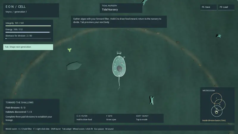 The Tidal Nursery: life at its smallest.
